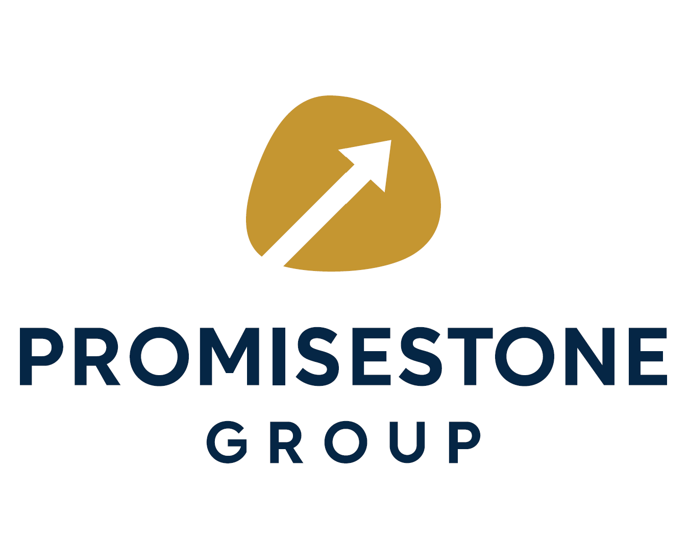 PromiseStone Group